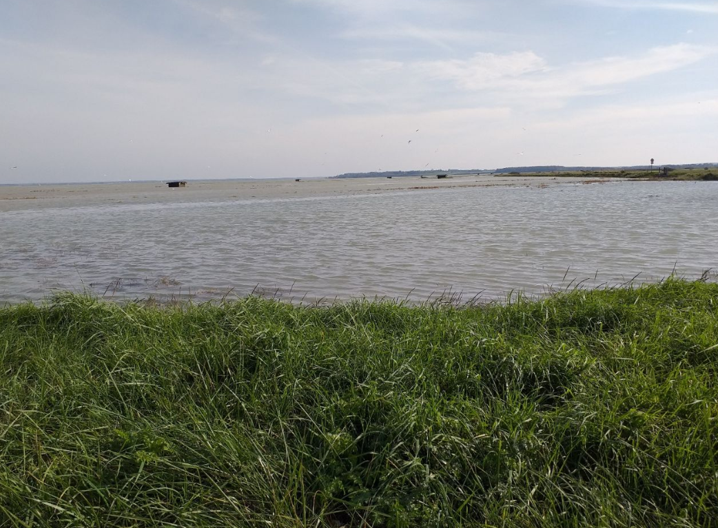 La Baie de Somme et son littoral